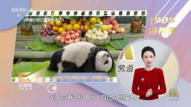 国产精品免费_区二区三区观看
